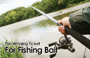 The Winning Ticket For Fishing